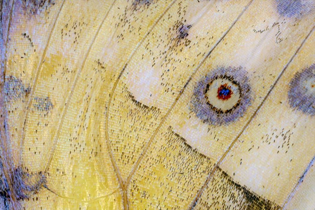 Konya’nın ünlü bahçesindeki detaylar tüyler ürpertti: İyi ki küçükler 24